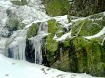 DSC04345 - copia.JPG