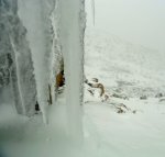 DSC04353 - copia.JPG