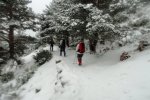 DSC04401 - copia.JPG