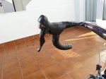 20150119_155619.jpg
