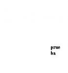 prueba.JPG