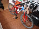 DSC01254.jpg