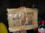 DSC01355 foro.jpg