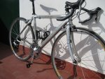 bianchi nueva 3.jpg