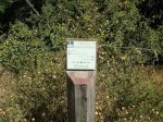 DSC05161.JPG