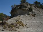 DSC05166.JPG