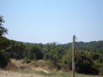 DSC05178.JPG