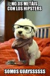 Hipster Dog.jpg