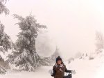 snowball_000000.jpeg
