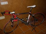 100_3973.JPG