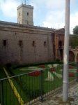 IMG_20140923_130230.jpg