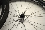_DSC0383.JPG