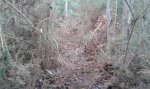 20141214_104756.jpg