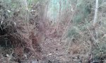 20141214_111326.jpg