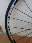 IMG_20150122_095635.jpg
