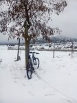 IMG_20150123_160123.jpg