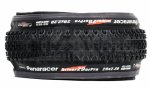 Panaracer.jpg