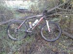20141116_095749.jpg