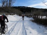 IMG_2950.jpg