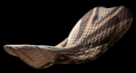 upload_2015-1-24_21-40-18.png