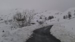 20150124_124853.jpg