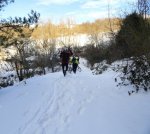 DSC04437 - copia.JPG