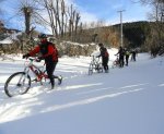 DSC04442 - copia.JPG