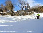 DSC04446 - copia.JPG
