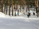 DSC04467 - copia.JPG