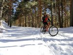 DSC04487 - copia.JPG