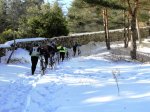 DSC04489 - copia.JPG