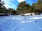 DSC04490 - copia.JPG