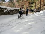 DSC04493 - copia.JPG