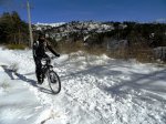 DSC04501 - copia.JPG