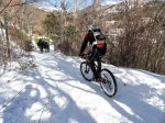 DSC04503 - copia.JPG