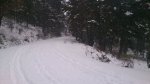 DSC_1923.JPG