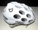 CASCO 5.jpg