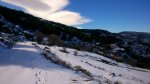 IMG-20150125-WA0020.jpeg