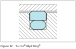 TURCON GLYD RING.png