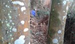 20150103_124551.jpg
