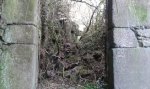 20150105_102004.jpg