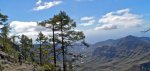 SAM_0825_2.jpg