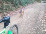 IMG_20150110_171902.jpg