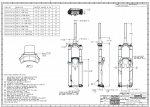 offset rock shox.jpg