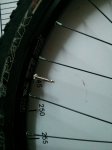 IMG_20150127_064500.jpg