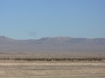 SAN PEDRO 644.jpg