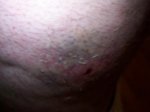 100_1103.jpg