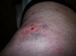 100_1104.jpg