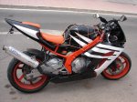 DSC00880.JPG