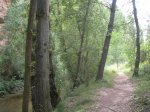 DSCN1778.JPG